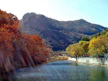 澳门二四六天天彩图库，玉竹茶色素胶囊